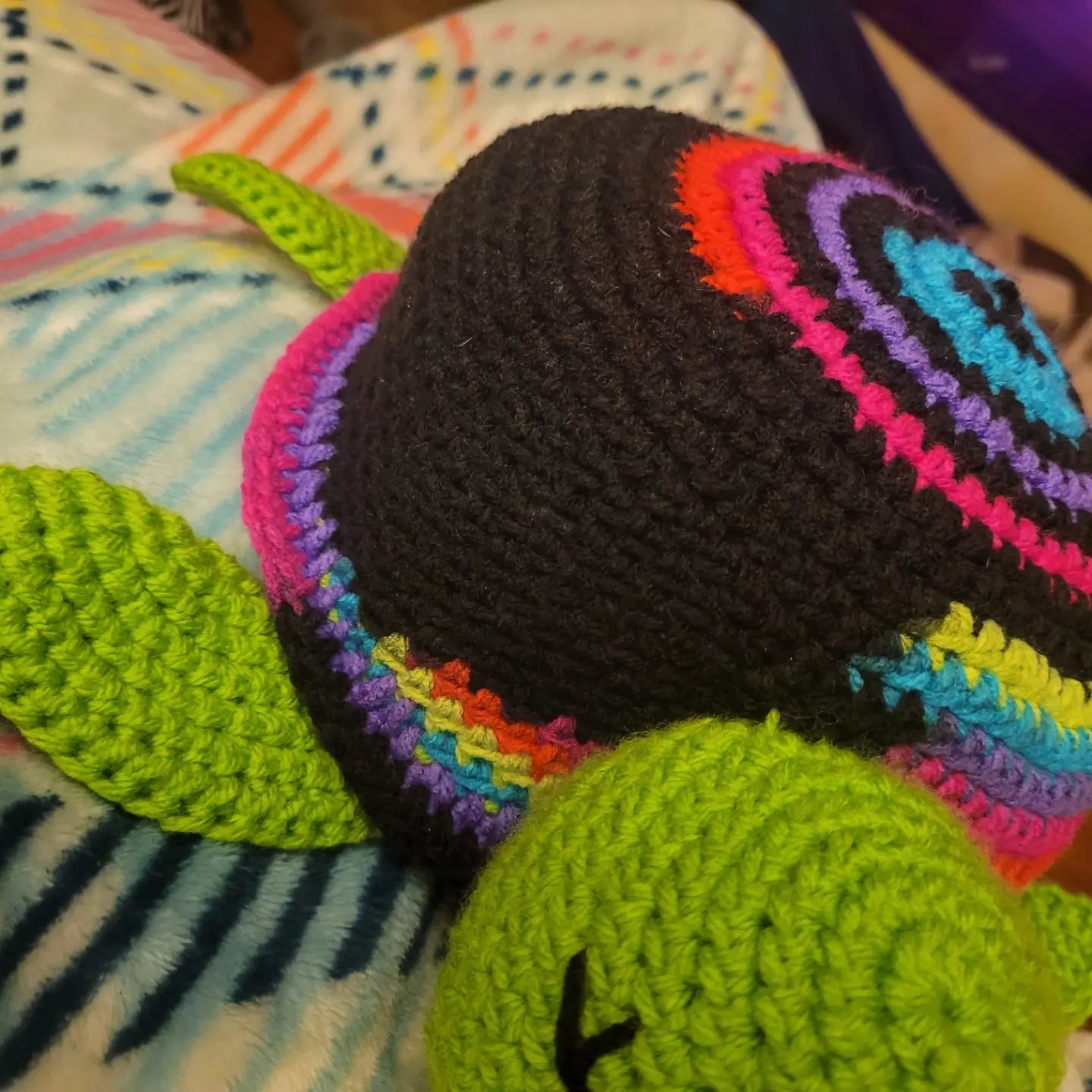 Rainbow Reef Turtle - Image 2
