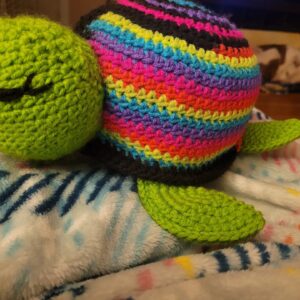 Rainbow Reef Turtle