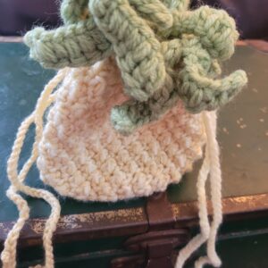 Sweet Tropics Pineapple Pouch